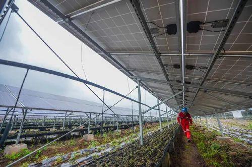 中國十三省最大光伏電站在這里！欽州康熙嶺的光伏電站能排上號了嗎？